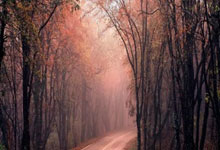 如何开展水土保持现场巡视工作？